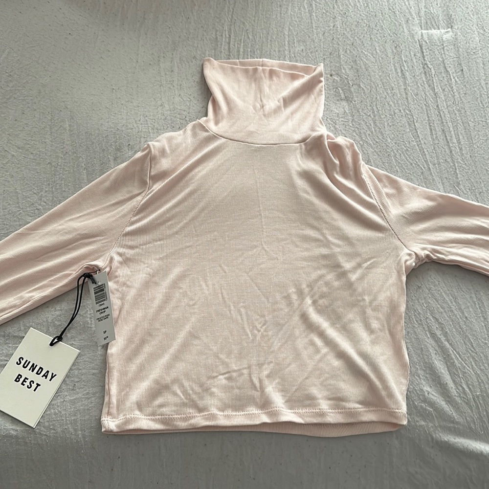 Cropped Rose Turtleneck from Aritzia